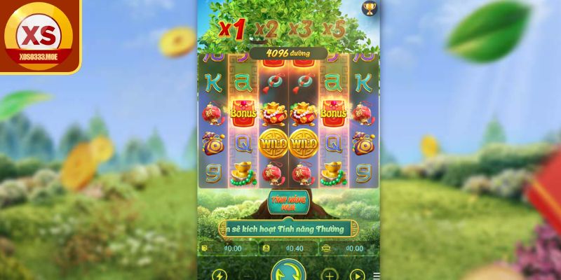 Mẹo nâng cao tỷ lệ thắng khi tham gia Cây Tài Vượng