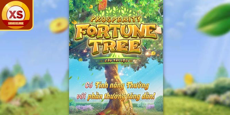 Tổng quan về Cây Tài Vượng XOSO333
