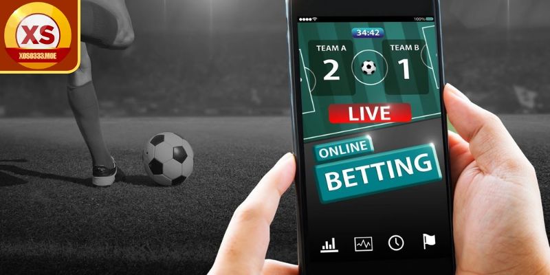 Hiểu đúng thông tin về kèo Handicap
